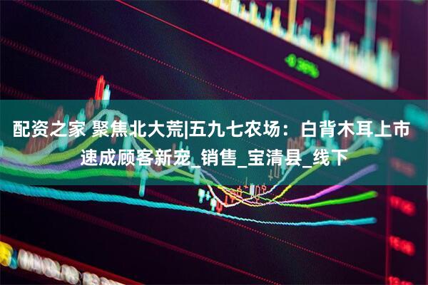 配资之家 聚焦北大荒|五九七农场：白背木耳上市 速成顾客新宠_销售_宝清县_线下