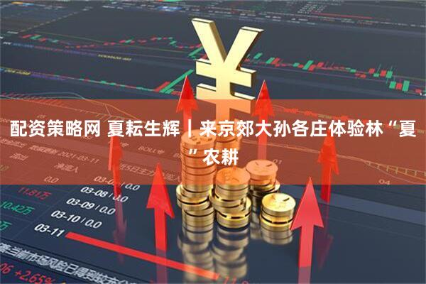配资策略网 夏耘生辉｜来京郊大孙各庄体验林“夏”农耕