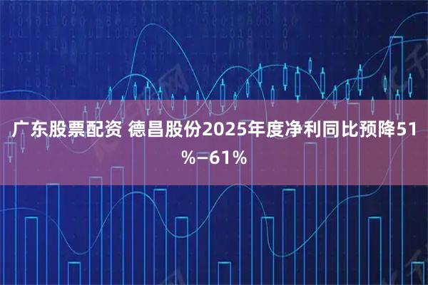 广东股票配资 德昌股份2025年度净利同比预降51%—61%