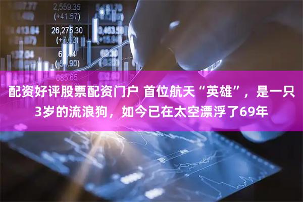 配资好评股票配资门户 首位航天“英雄”，是一只3岁的流浪狗，如今已在太空漂浮了69年